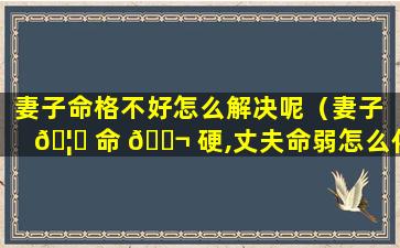 妻子命格不好怎么解决呢（妻子 🦄 命 🐬 硬,丈夫命弱怎么化解）